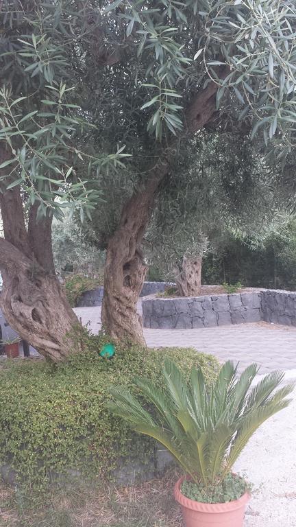 ברונטה Azienda Agricola Cuntarati מראה חיצוני תמונה